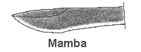 Mamba