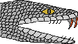 Vorderfurchenzähner (beweglich)